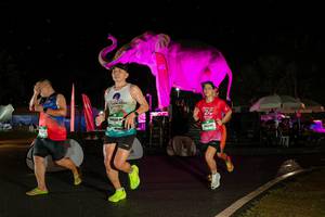 BIB: 
                            <button type="button" onclick="openModal(26543083)" class="btn btn-primary btn-sm float-right btn-popup" data-toggle="modal" data-target=".modal-high-quality">
                        <i class="fas fa-shopping-cart"></i> Add to Cart
                    </button>
                                            <button type="button" onclick="isThisMe(26543083, true)" class="btn btn-success btn-sm float-right btn-popup btn-isme hidden" data-toggle="tooltip" data-placement="bottom" title="นี่คือรูปของคุณใช่ไหม คลิกที่นี่เพื่อเอาเข้าอัลบั้ม">
                        <i class="fas fa-plus"></i> Add to album
                    </button>
                    <button type="button" onclick="isThisMe(26543083, false)" class="btn btn-warning btn-sm float-right btn-popup btn-isnotme hidden">
                        <i class="fas fa-ban"></i> Remove from album
                    </button>